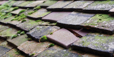 Meole Brace roof repair costs